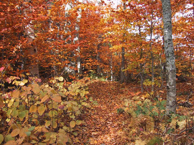 19-Oct-01