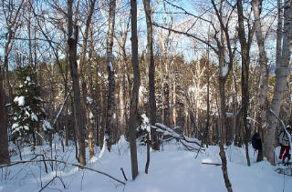 leanto site # 1