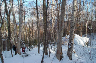 leanto site # 2