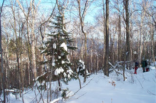 leanto site # 4