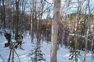 leanto site # 6