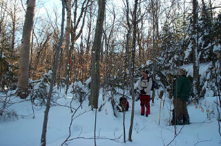 leanto site # 7