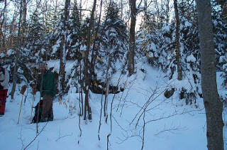leanto site # 8