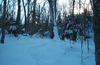 leanto site # 9